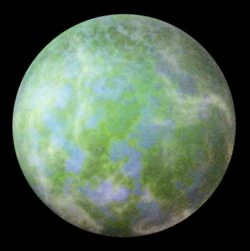 Pollillus NEGAS.jpg