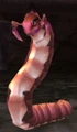 Dredge Worm.jpg