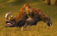 Image of Kodo Matriarch