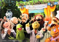 MuppetExperiment-thanks