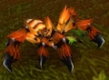 Tarantula.jpg
