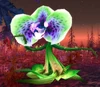 Thistle Lasher