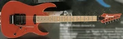 RG565 CA.jpg