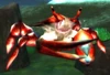 Tidecrawler