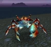 Pygmy Surf Crawler