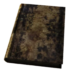 Large Destroyed Book