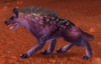 Image of Galak Packhound
