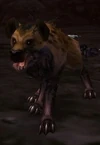 Gnashjaw