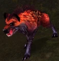 Scarlet Hound.jpg