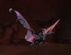 Greater Kraul Bat