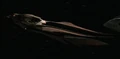 Laas as spacefaring lifeform.jpg
