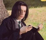 P5 Severus Snape Joven