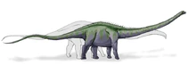 Supersaurus dinosaur