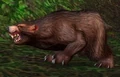 Ashenvale Bear.jpg