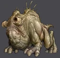 Cannok