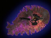 USS Enterprise approaches space amoeba, remastered