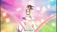 Openheart206