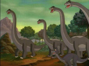 Herds