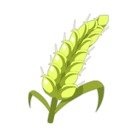Centeno