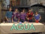 Menudo1
