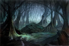 Concept duskwood