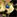 IconSmall Moth