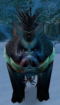 Image of Small Crag Boar
