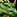 IconSmall DragonGreen