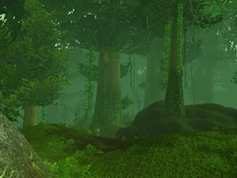High Wilderness