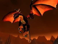 Image of Scalding Drake