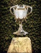 The Goblet of Fire Triwizard cup Portkey