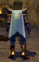 Cloak of Tranquility worn.jpg