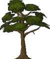 Mahogany.gif