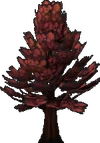 Maple.gif