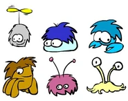 Puffle in 2005