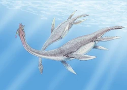 Plesiosaurus 3DB.jpg