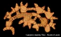 GarrisonArmoryMap.jpg