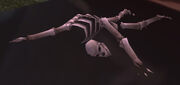 Farseer Grimwalker's Remains