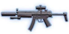DW-P5.jpg