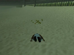 Buceo