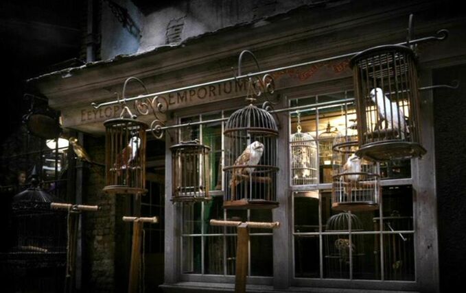 http://images4.wikia.nocookie.net/__cb20090226093129/harrypotter/images/thumb/7/7c/Diagon_Alley_-_Eeylops_Owl_Emporium.jpg/679px-Diagon_Alley_-_Eeylops_Owl_Emporium.jpg