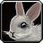 Inv misc rabbit