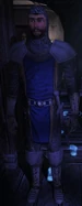 Blue Guard
