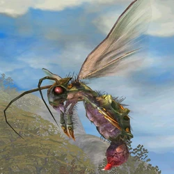 Wasp Queen