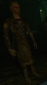 Pagan Shaman.jpg