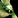 IconSmall Flayer