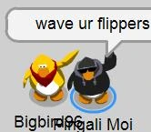 Bigbird