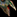 IconSmall Pterrordax