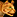 IconSmall Housecat