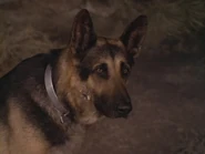 The.Bionic.Woman.S03E02.DVDrip.XviD-SAiNTS.avi 001920720